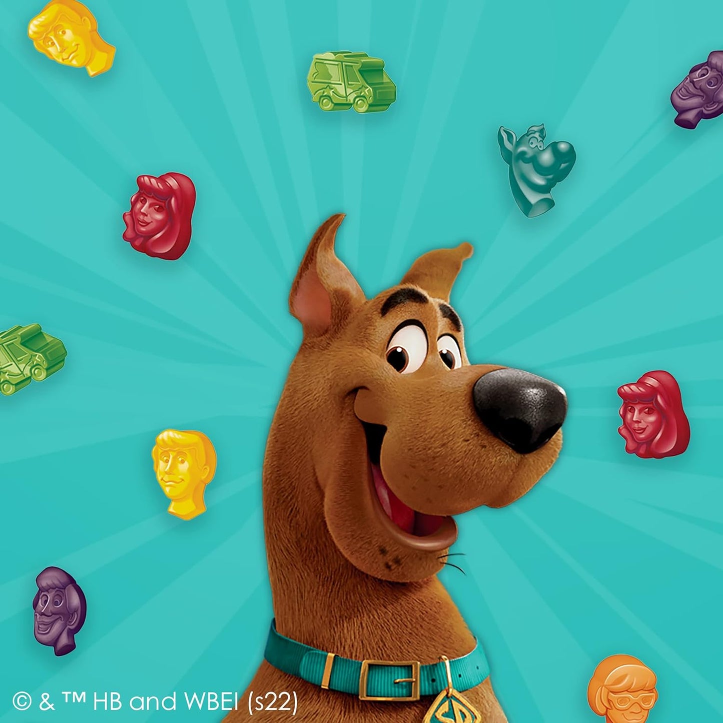 Scooby Doo Fruit Flavored Snacks, Treat Pouches, Value Pack
